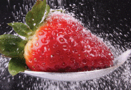 MORE THE SUGAR BITTER THE LIFE MORE THE SUGAR BITTER THE LIFE
