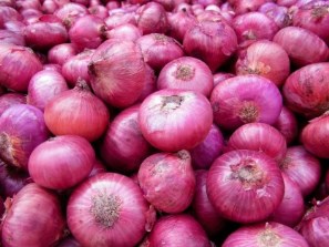 p-21395-onion