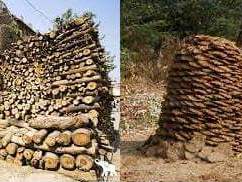 gowari-vs-Wood
