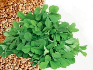 methi