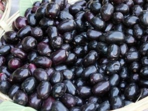 p-30560-jambhul-300