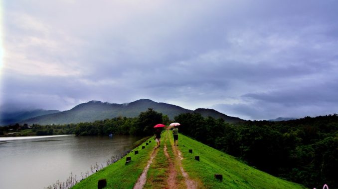 P-61472 - pitkar-003-harkul-backwaters-talkonkan