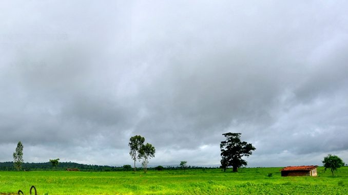 p-61113-amboli-ajra