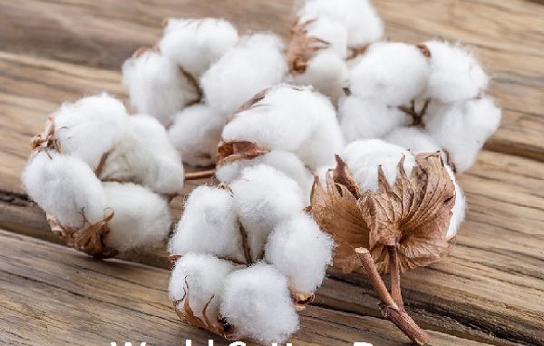 Velankar World Cotton Day
