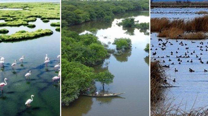 Velankar-World-Wetlands-Day