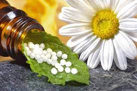 Velankar-Homeopathy-Day