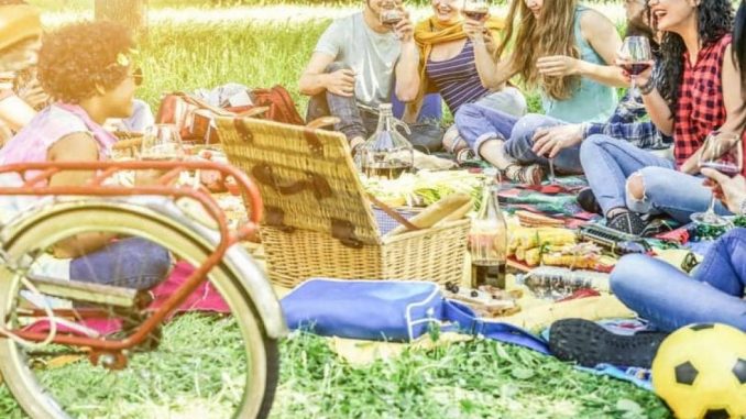 Velankar-Picnic-Day
