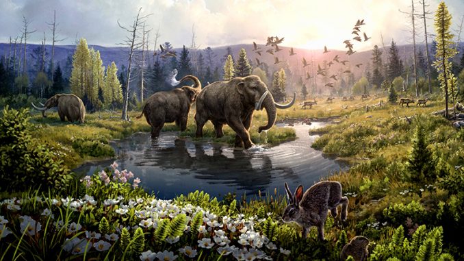 Greenland_Ecosystem