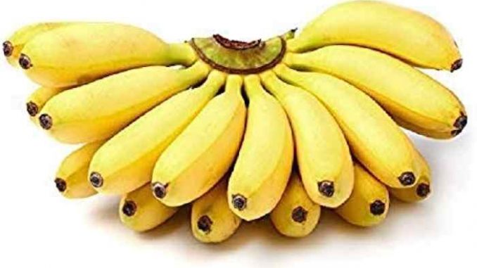 PID-107365-banana