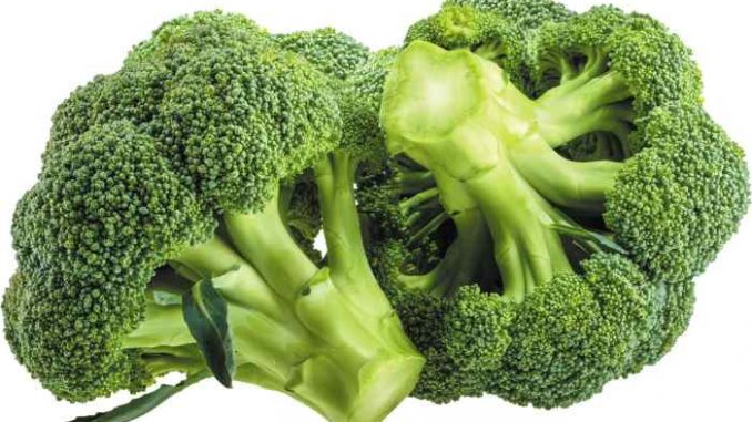 PID-107407-broccoli