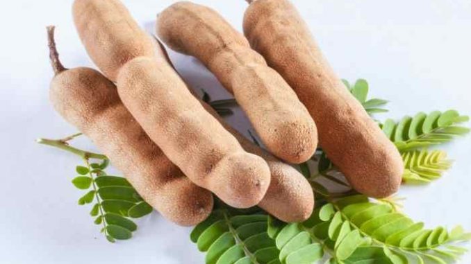 PID-107411-tamarind