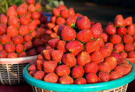 panchgani-strawberries