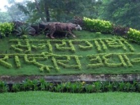 p-1794-Mumbai-Sanjay-Gandhi-National-Park