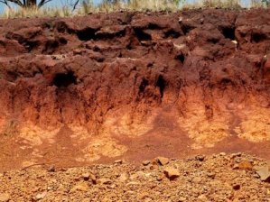 p-2778-Konkan-Laterite