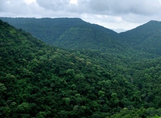 p-3863-Satpuda-Mountains-Range-300