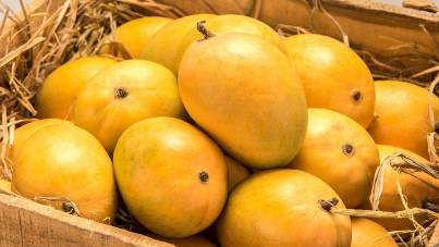 P-6191-Mango