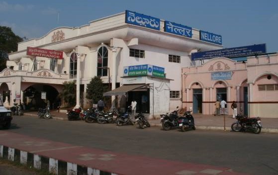 P-6564-Nellore-01
