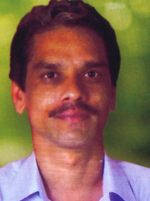 पितळे, विनोद विनायक