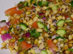 sprout-bhel-300
