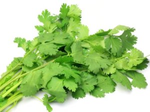 p-33418-Coriander-300